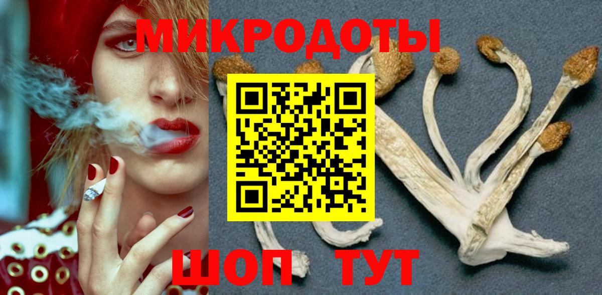 Псилоцибиновые грибы Psilocybe  Вход с VPN  где купить   Псилоцибиновые грибы GOLDEN TEACHER  Сердобск 